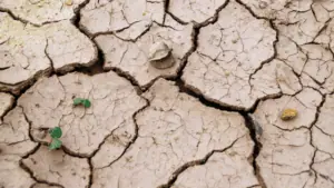 Slip Through the Cracks | Taxwise Australia | 08 6216 4309