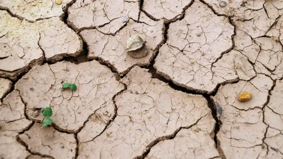 Slip Through the Cracks | Taxwise Australia | 08 6216 4309