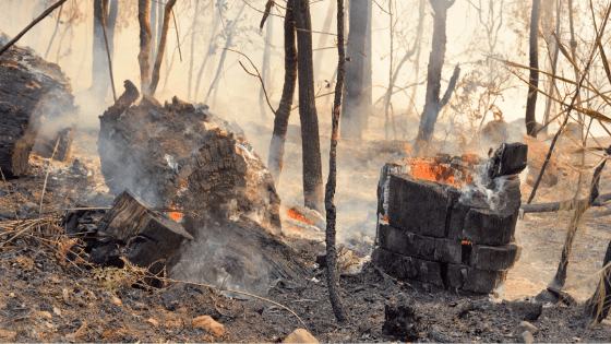 3 | Taxwise Australia | 08 6216 4309