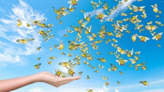 Special COVID 19 Superannuation Condition of Release | Taxwise Australia | 08 6216 4309