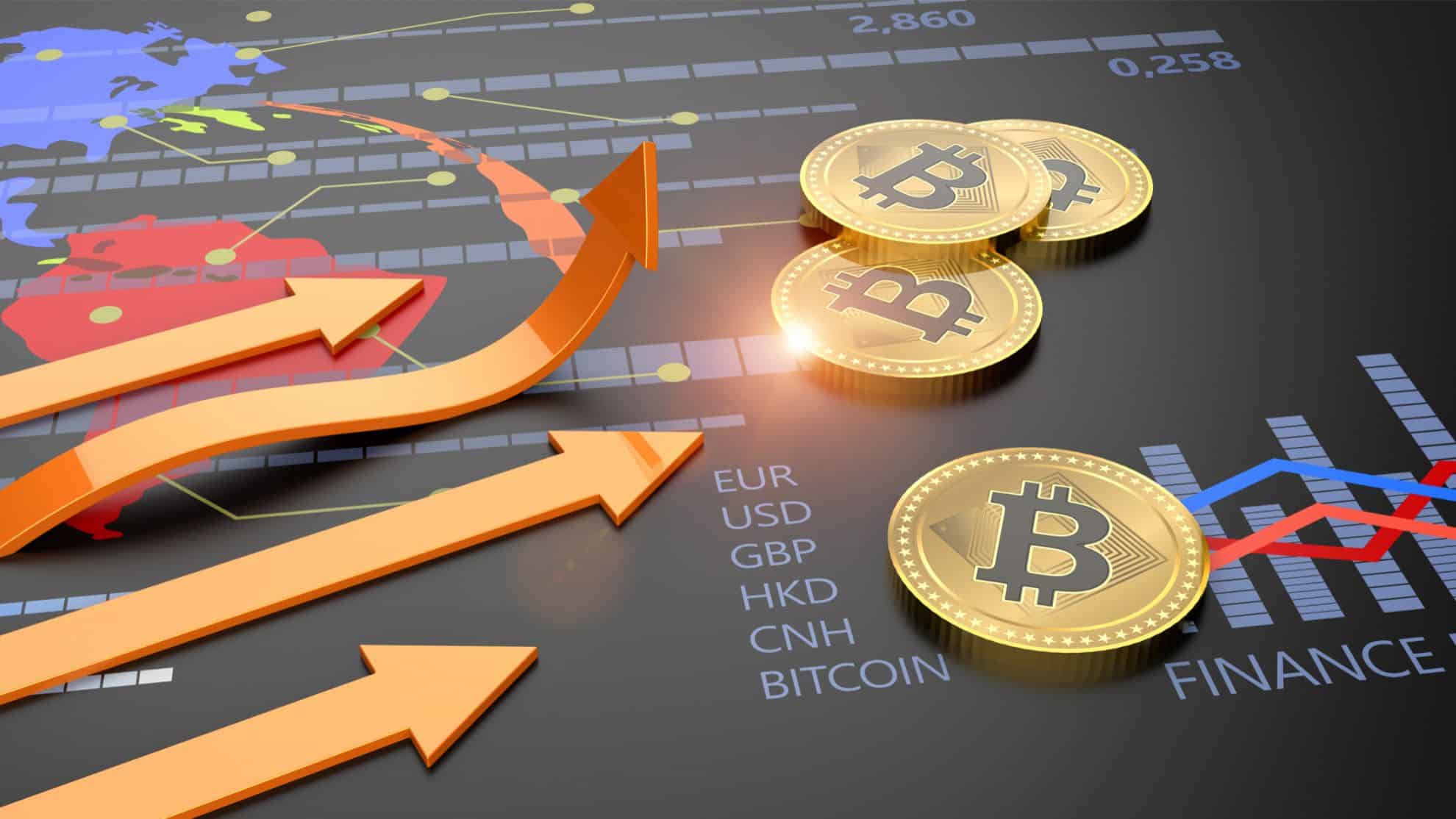 Losses in crypto investments for SMSFs | Taxwise Australia Losses in crypto investments for SMSFs